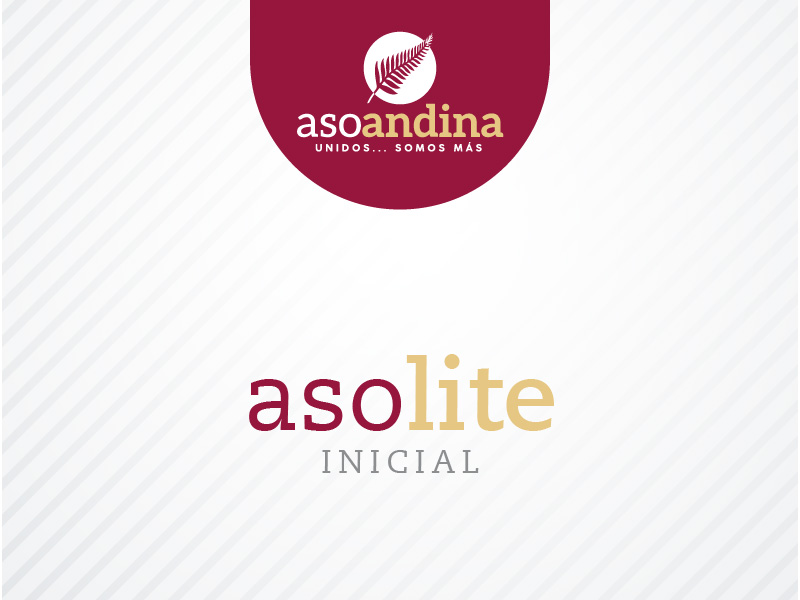 Asolite Inicial AsoAndina asolite-inicial-asoandina